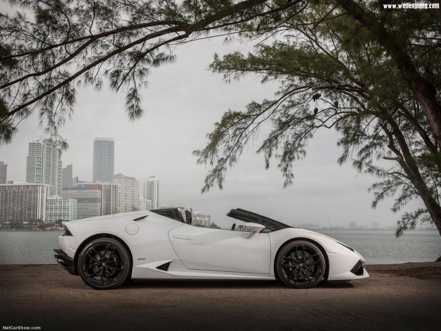 Lamborghini-Huracan_LP610-4_Spyder-2017-1280-11.jpg