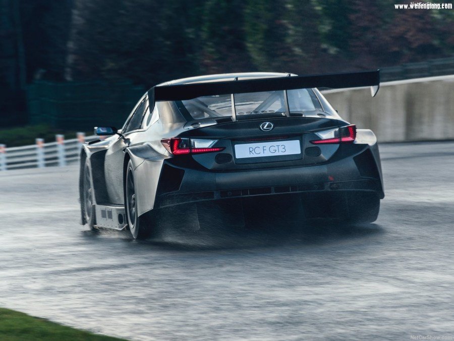 Lexus-RC_F_GT3-2017-1280-14.jpg