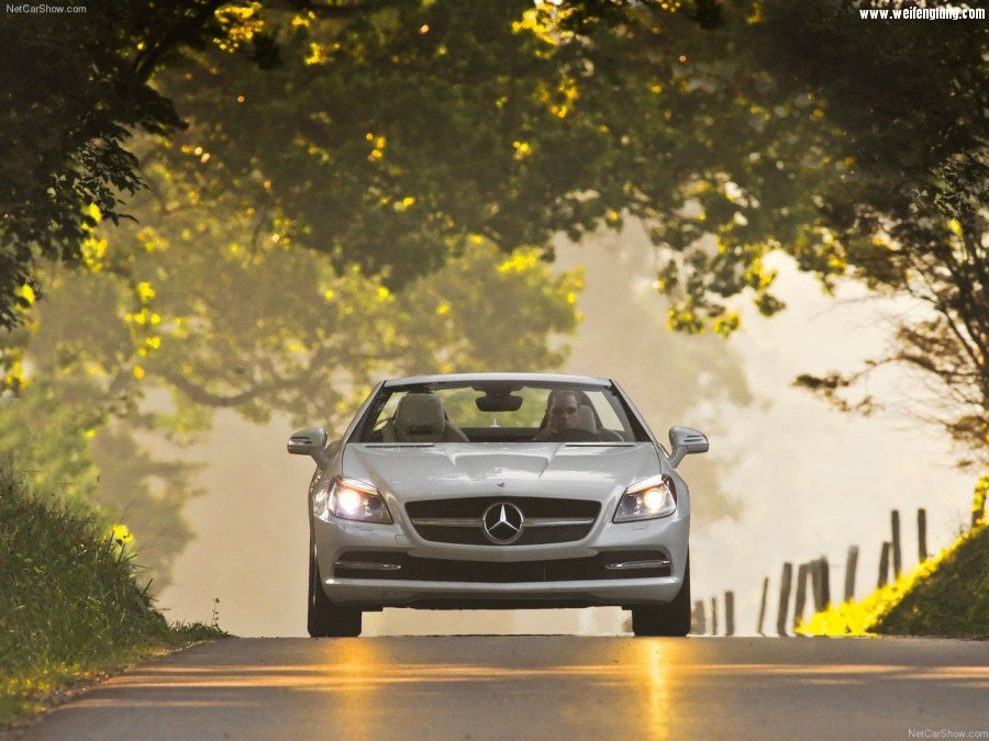 Mercedes-Benz-SLK350-2012-1280-76.jpg