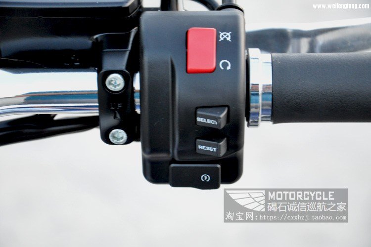 14年雅马哈XVS950 蓝色-2 (11)改.jpg