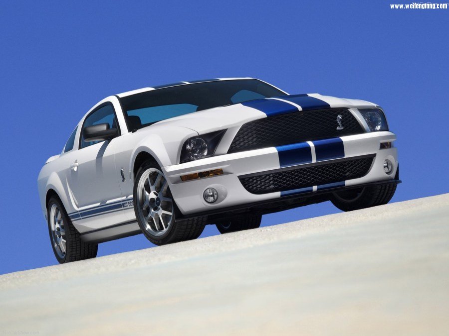 Ford-Mustang_Shelby_GT500-2007-1280-01.jpg