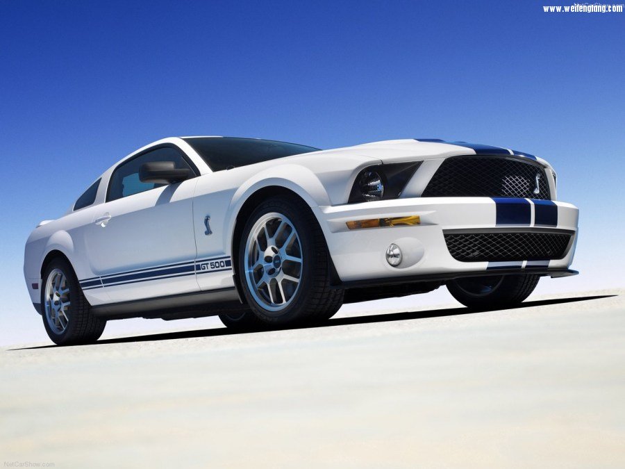 Ford-Mustang_Shelby_GT500-2007-1280-02.jpg