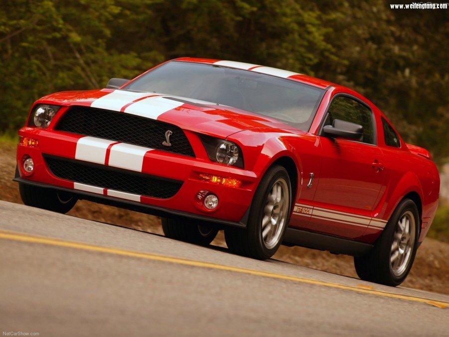 Ford-Mustang_Shelby_GT500-2007-1280-04.jpg