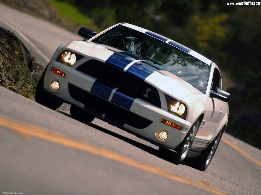 Ford-Mustang_Shelby_GT500-2007-1280-06.jpg