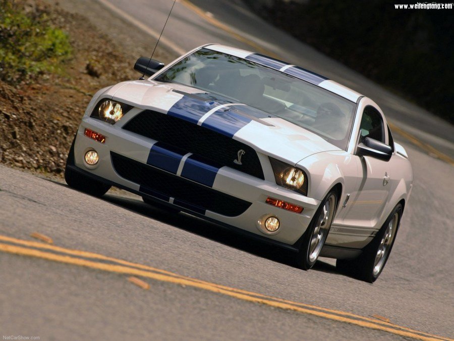 Ford-Mustang_Shelby_GT500-2007-1280-07.jpg