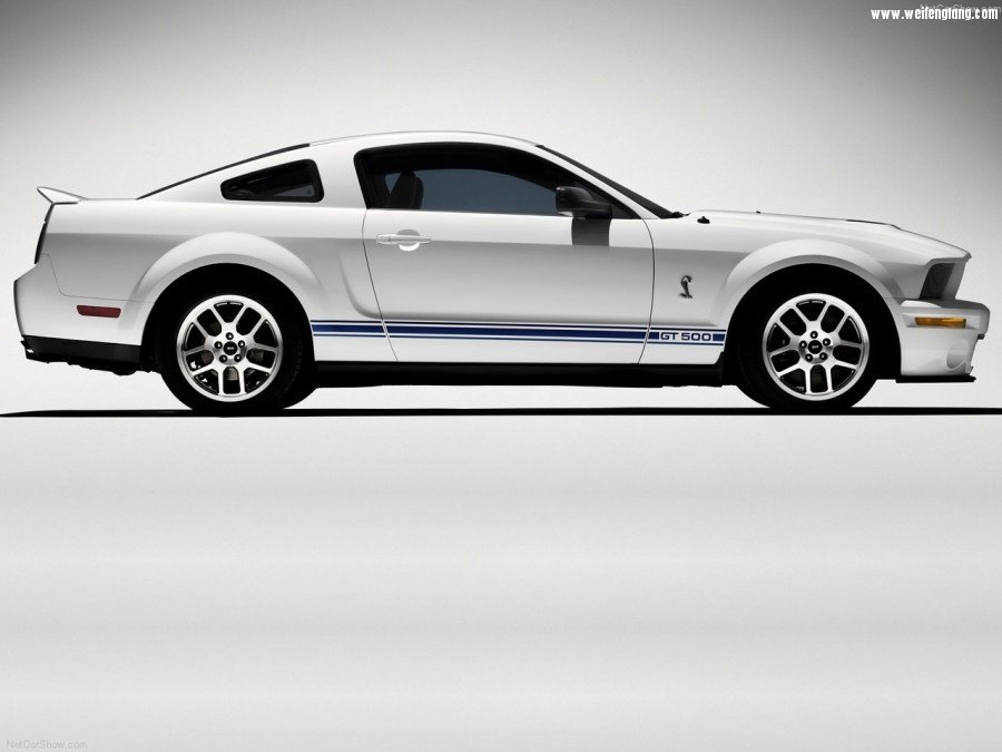 Ford-Mustang_Shelby_GT500-2007-1280-14.jpg