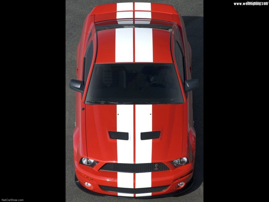 Ford-Mustang_Shelby_GT500-2007-1280-33.jpg