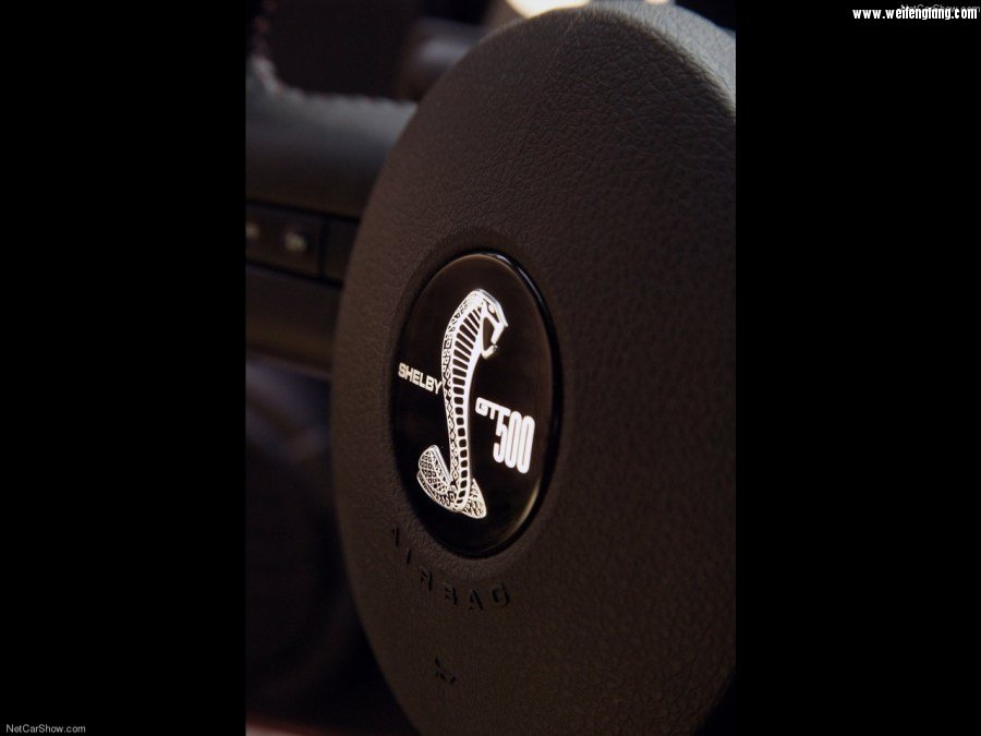 Ford-Mustang_Shelby_GT500-2007-1280-35.jpg