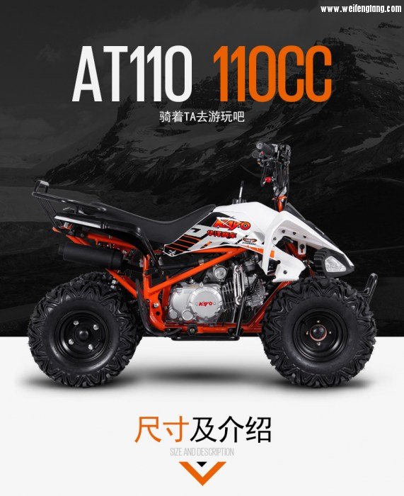 ATV110.jpg