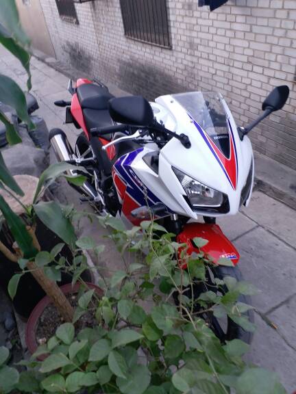 103236butqkl5jrmaemzmt.jpg