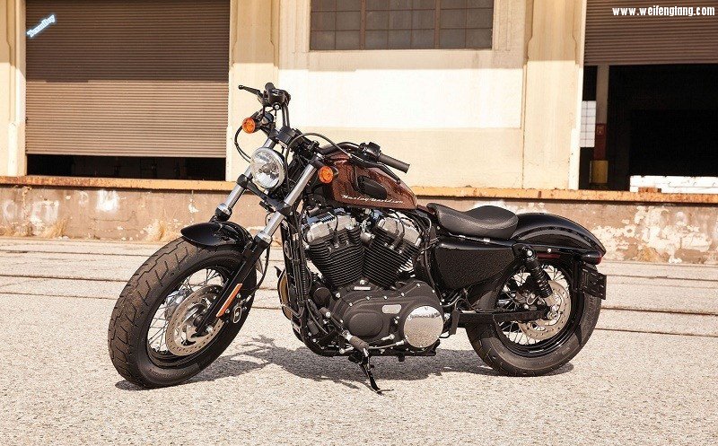 2014-Harley-Davidson-Forty-Eight1.jpg