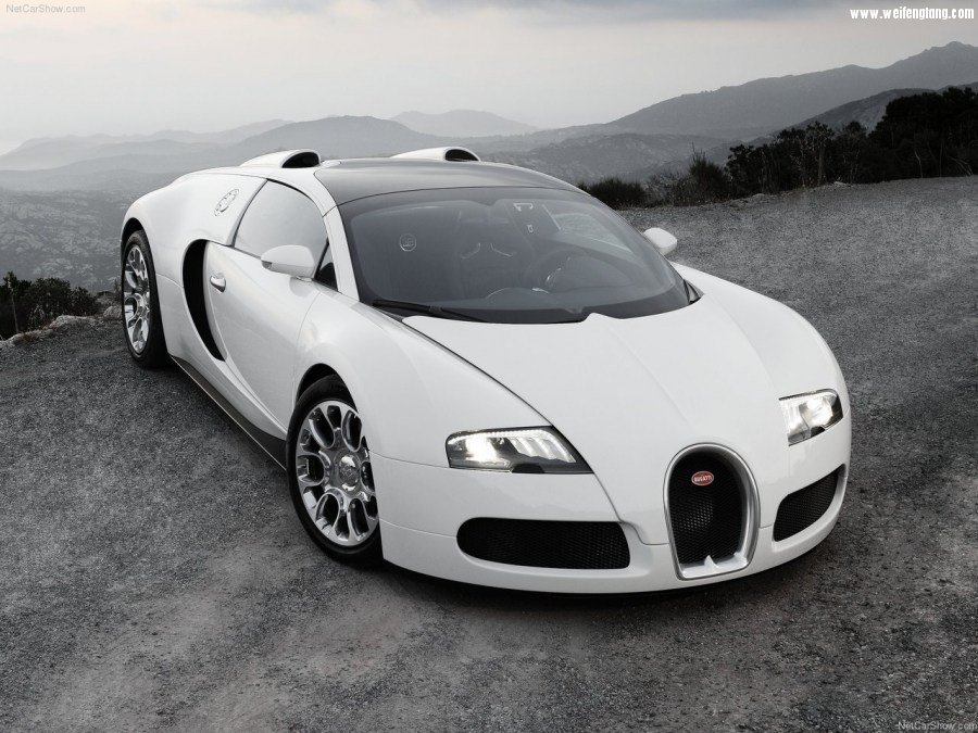 Bugatti-Veyron_Grand_Sport-2009-1280-04.jpg