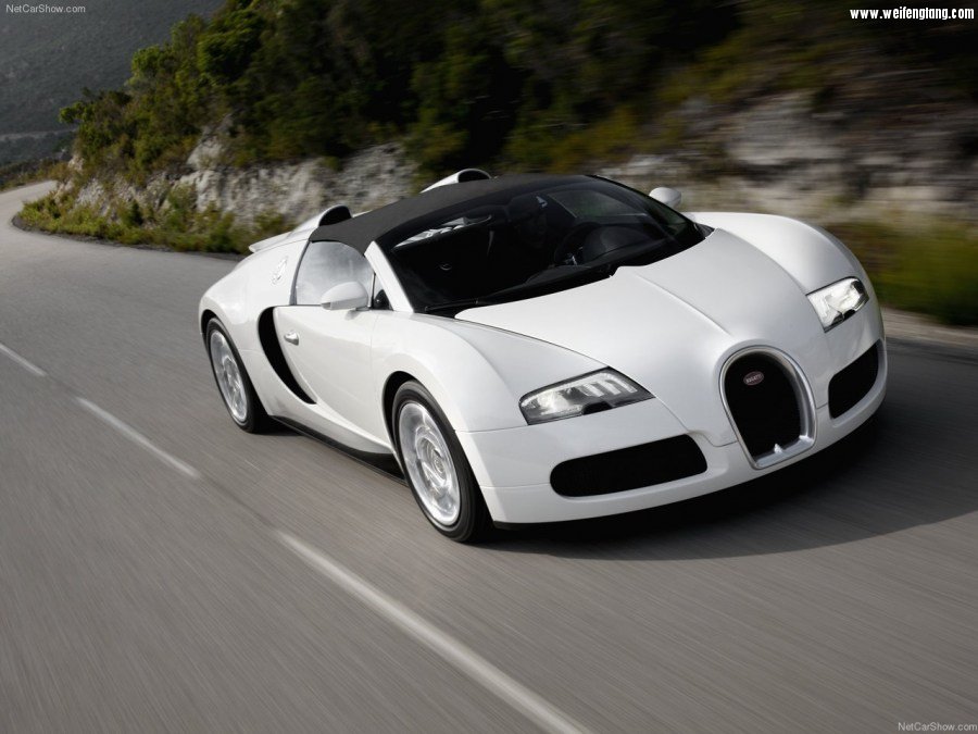 Bugatti-Veyron_Grand_Sport-2009-1280-05.jpg