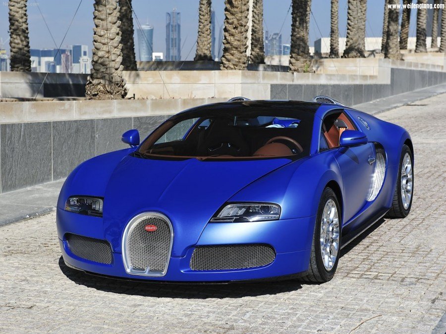 Bugatti-Veyron_Grand_Sport-2009-1280-0b.jpg