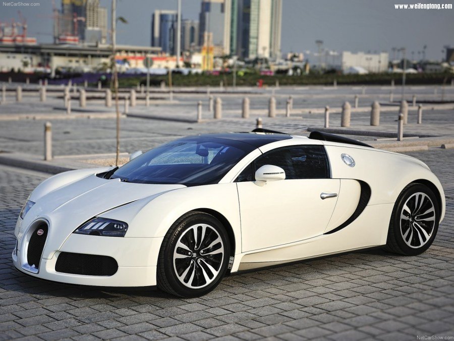 Bugatti-Veyron_Grand_Sport-2009-1280-0e.jpg