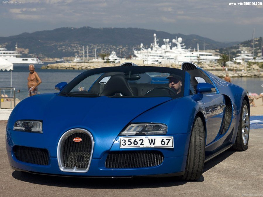 Bugatti-Veyron_Grand_Sport-2009-1280-11.jpg