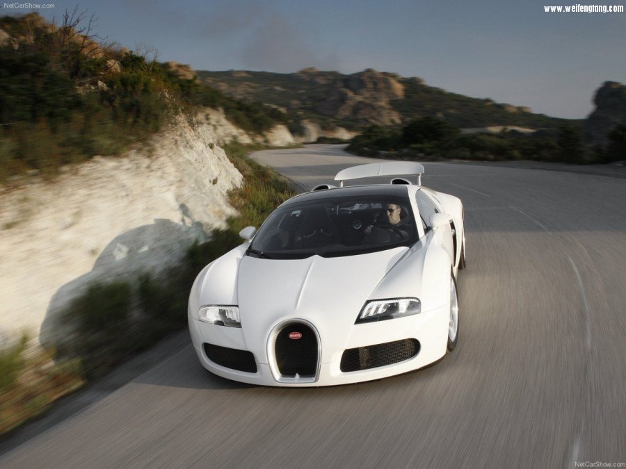 Bugatti-Veyron_Grand_Sport-2009-1280-15.jpg