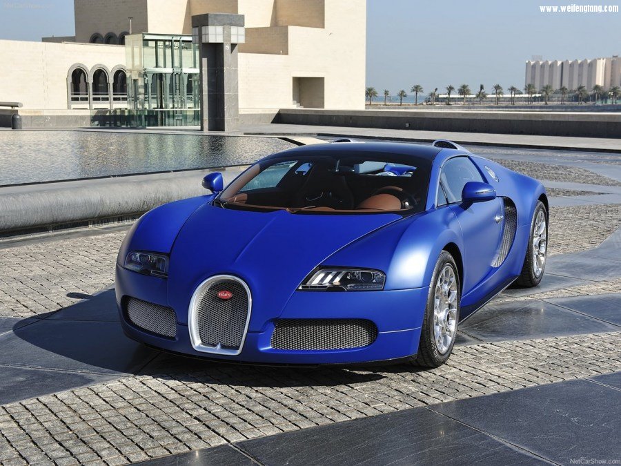 Bugatti-Veyron_Grand_Sport-2009-1280-19.jpg