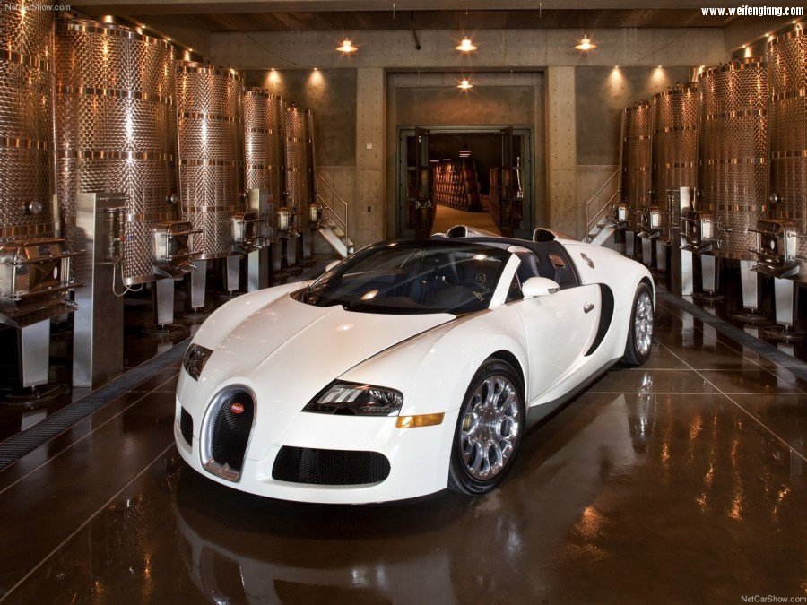 Bugatti-Veyron_Grand_Sport-2009-1280-1b.jpg