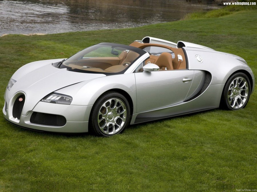 Bugatti-Veyron_Grand_Sport-2009-1280-1d.jpg