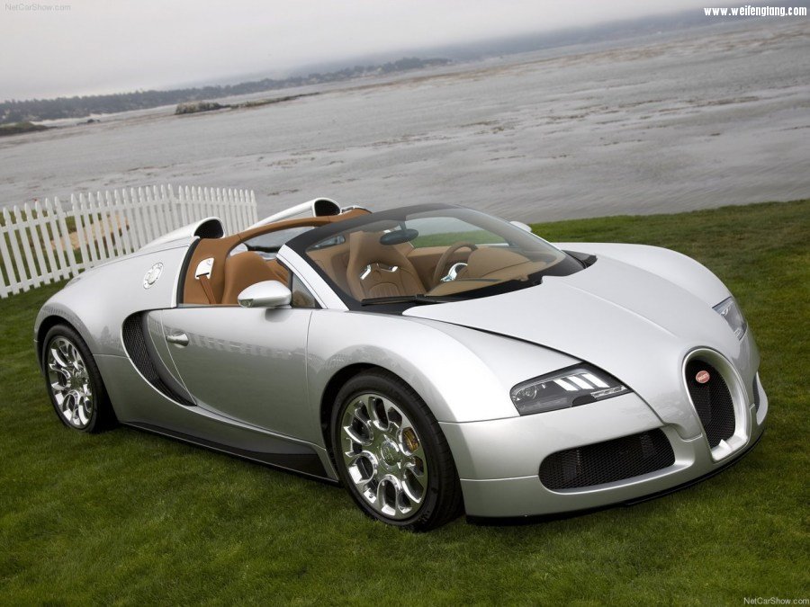 Bugatti-Veyron_Grand_Sport-2009-1280-1e.jpg
