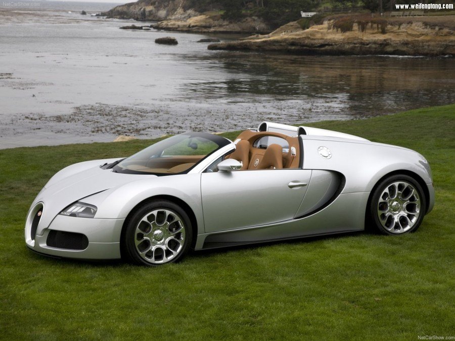 Bugatti-Veyron_Grand_Sport-2009-1280-20.jpg