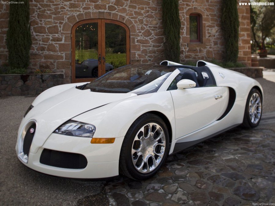 Bugatti-Veyron_Grand_Sport-2009-1280-23.jpg