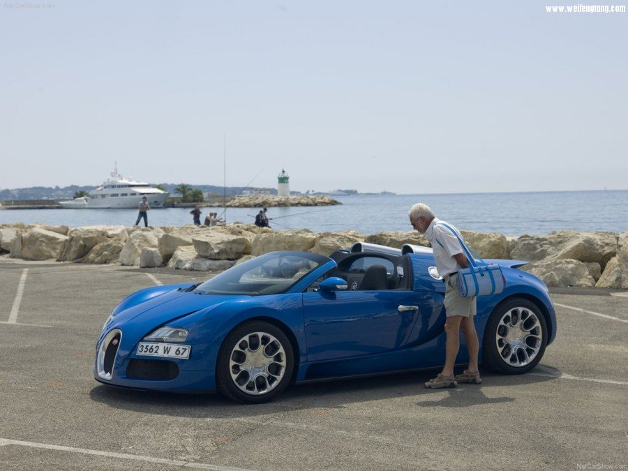Bugatti-Veyron_Grand_Sport-2009-1280-25.jpg