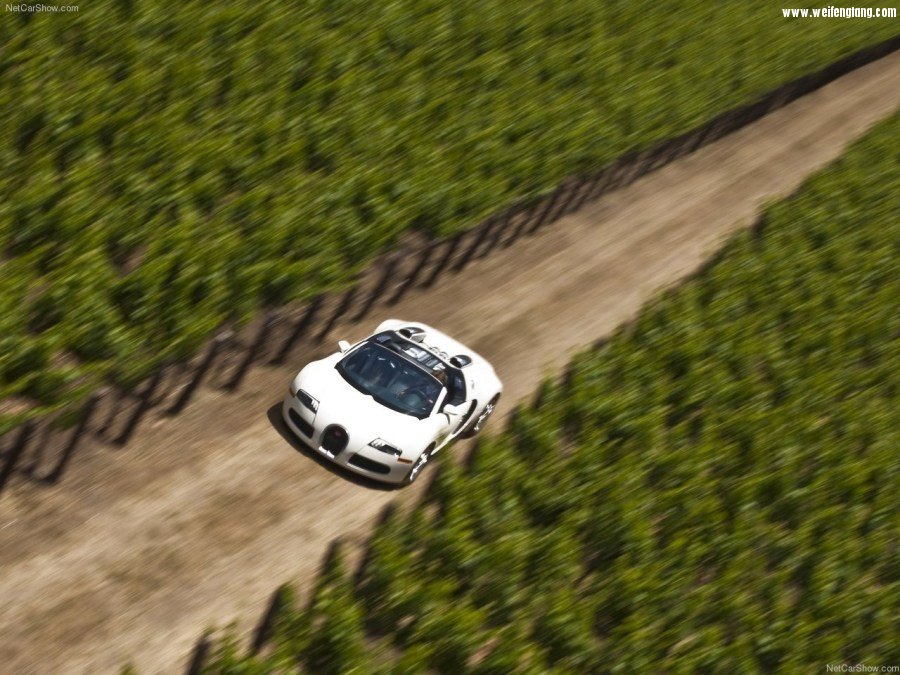 Bugatti-Veyron_Grand_Sport-2009-1280-26.jpg