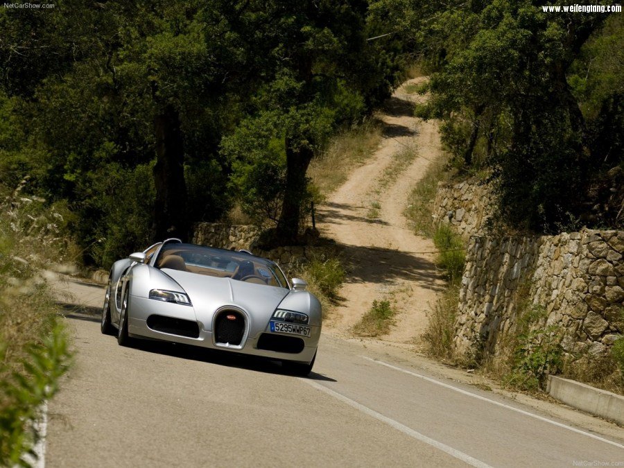 Bugatti-Veyron_Grand_Sport-2009-1280-27.jpg