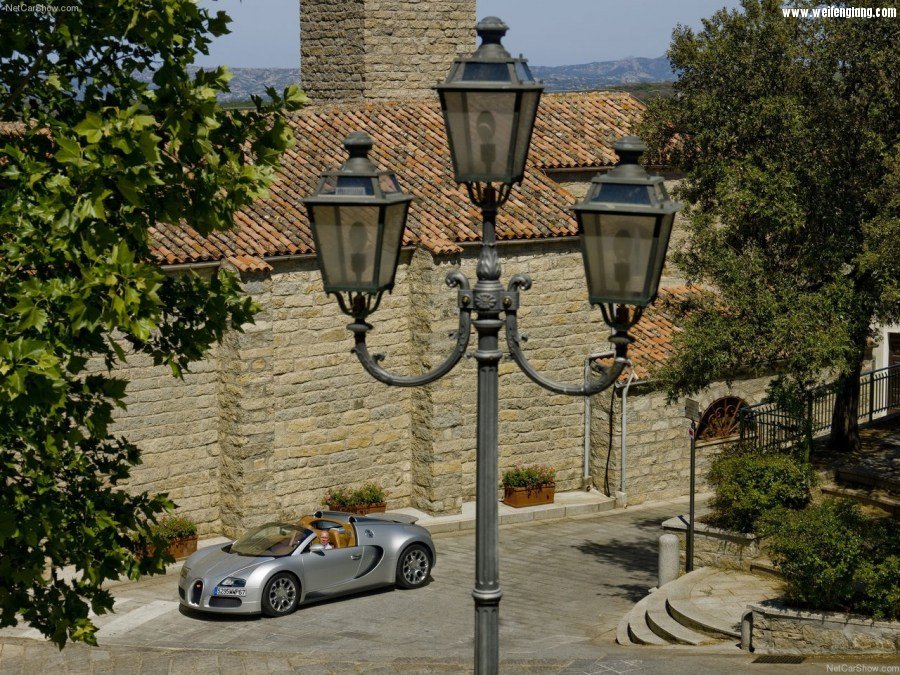 Bugatti-Veyron_Grand_Sport-2009-1280-28.jpg