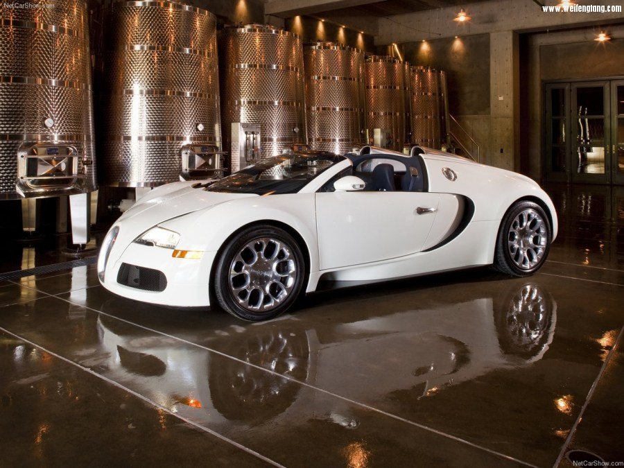 Bugatti-Veyron_Grand_Sport-2009-1280-2b.jpg