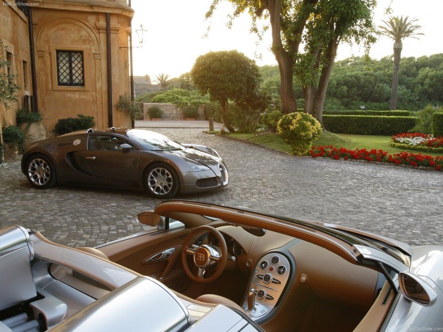 Bugatti-Veyron_Grand_Sport-2009-1280-2c.jpg