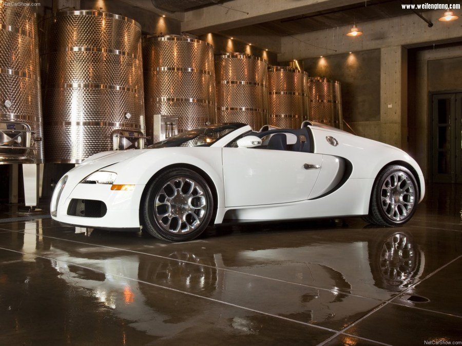 Bugatti-Veyron_Grand_Sport-2009-1280-2f.jpg