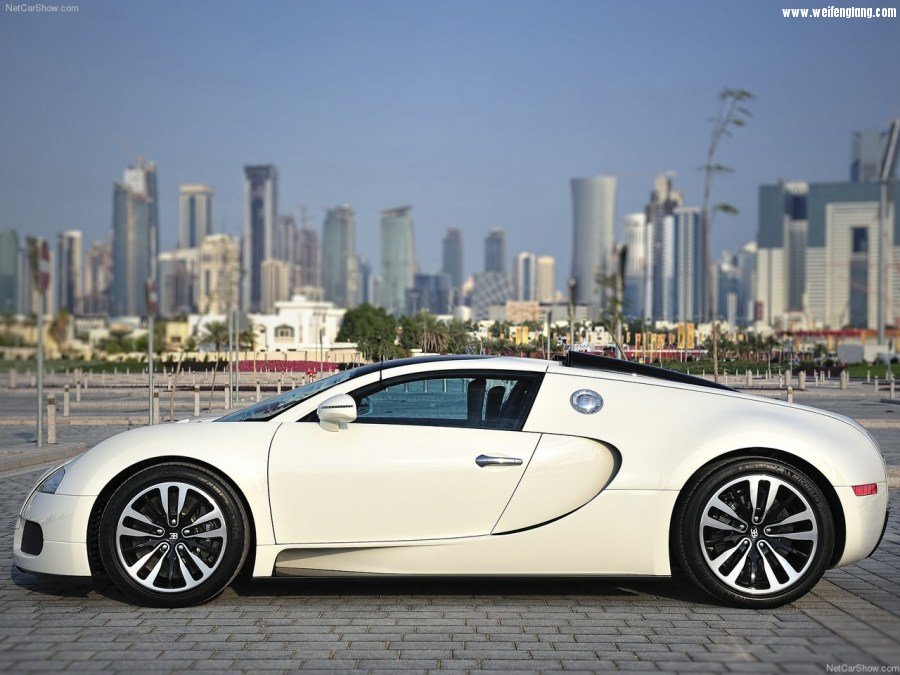 Bugatti-Veyron_Grand_Sport-2009-1280-30.jpg