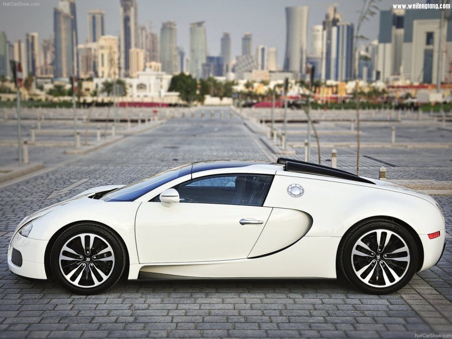 Bugatti-Veyron_Grand_Sport-2009-1280-35.jpg