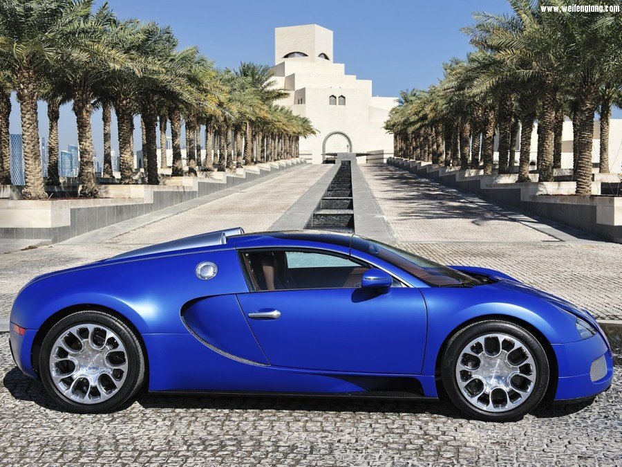 Bugatti-Veyron_Grand_Sport-2009-1280-36.jpg