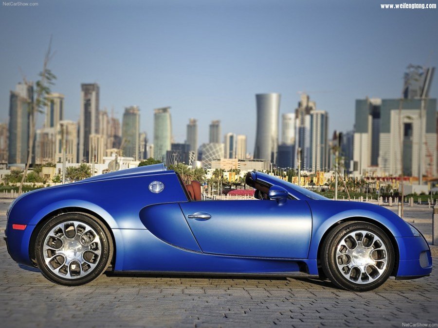 Bugatti-Veyron_Grand_Sport-2009-1280-39.jpg