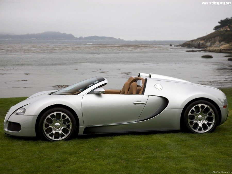 Bugatti-Veyron_Grand_Sport-2009-1280-3e.jpg