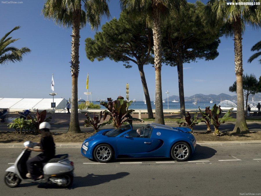 Bugatti-Veyron_Grand_Sport-2009-1280-41.jpg