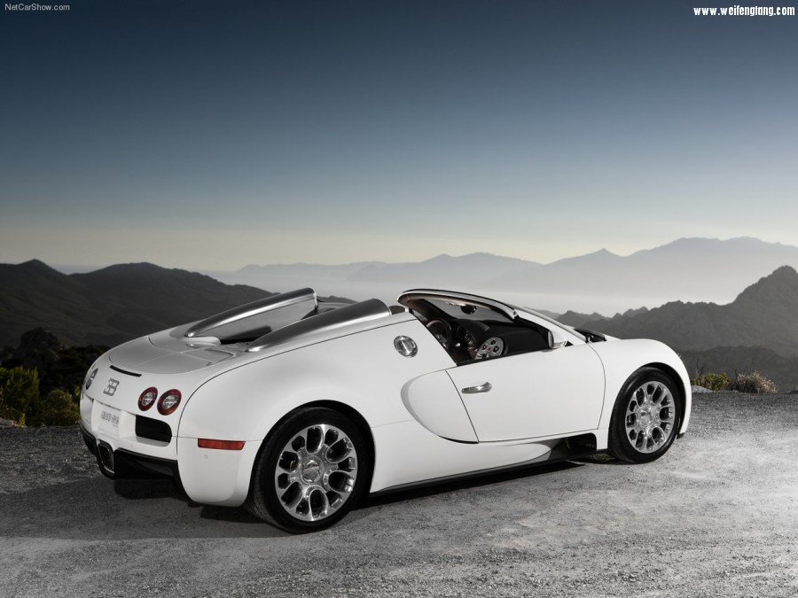 Bugatti-Veyron_Grand_Sport-2009-1280-42.jpg