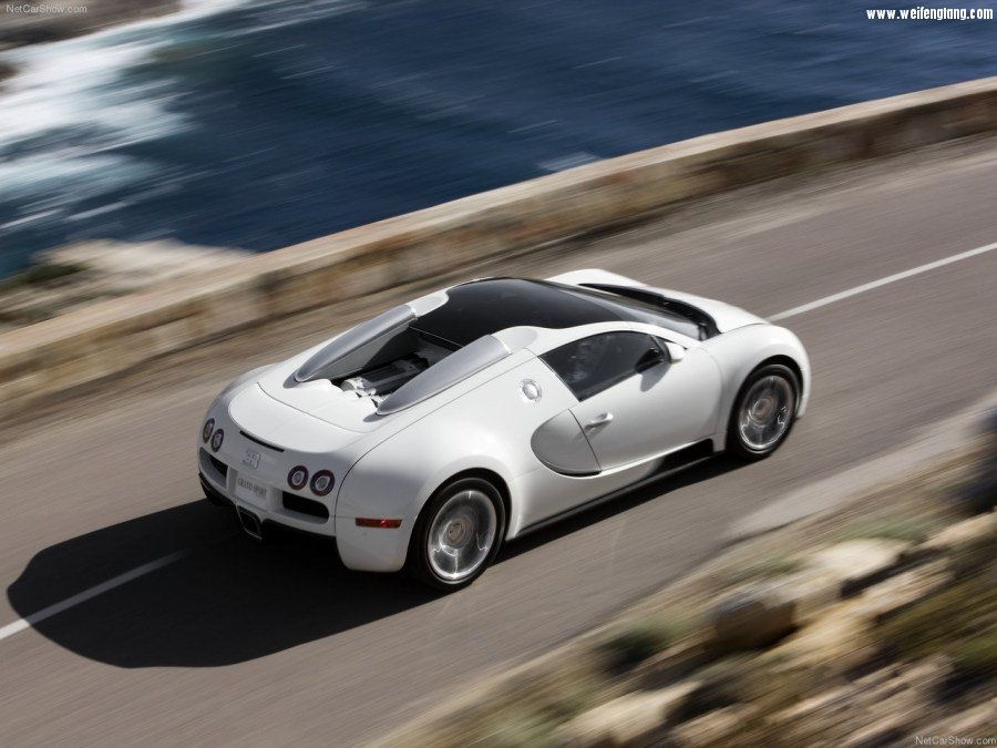Bugatti-Veyron_Grand_Sport-2009-1280-44.jpg