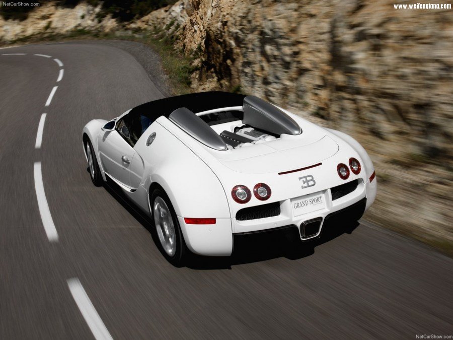 Bugatti-Veyron_Grand_Sport-2009-1280-45.jpg