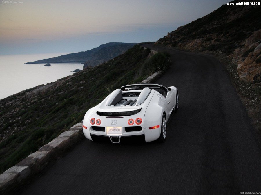 Bugatti-Veyron_Grand_Sport-2009-1280-4b.jpg