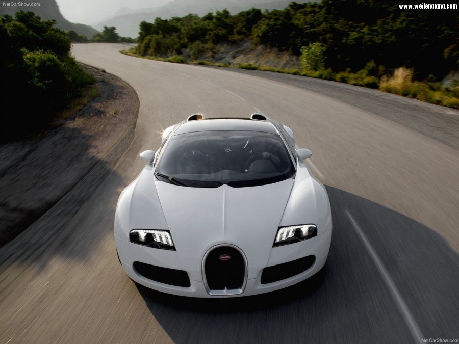 Bugatti-Veyron_Grand_Sport-2009-1280-4f.jpg