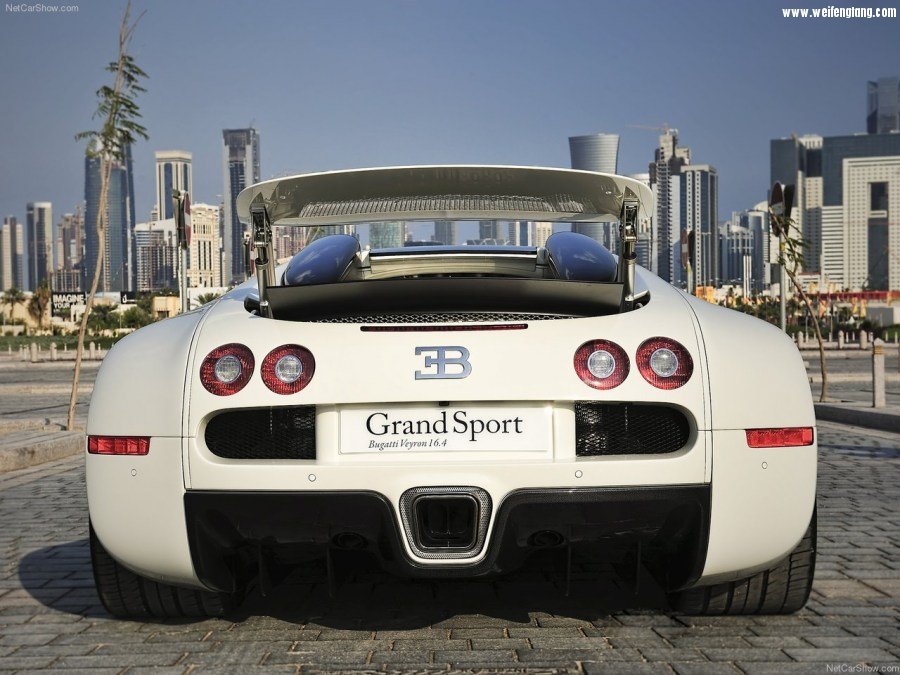 Bugatti-Veyron_Grand_Sport-2009-1280-5a.jpg