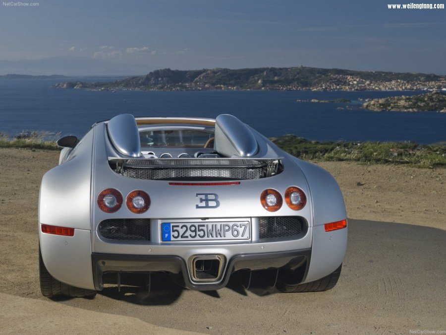 Bugatti-Veyron_Grand_Sport-2009-1280-5d.jpg