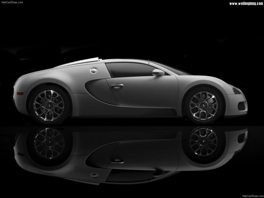 Bugatti-Veyron_Grand_Sport-2009-1280-6d.jpg