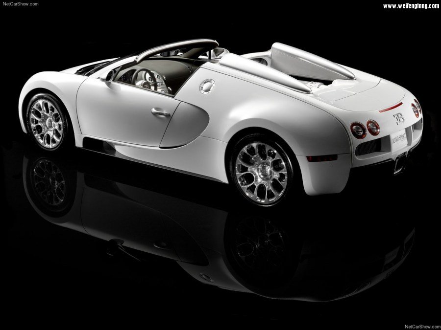 Bugatti-Veyron_Grand_Sport-2009-1280-6e.jpg