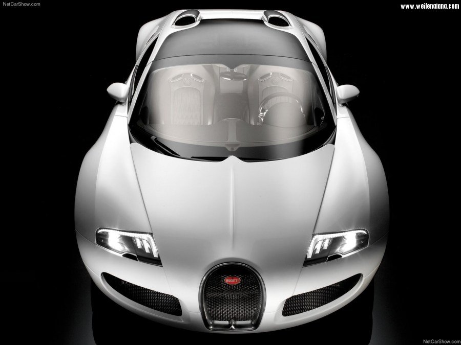 Bugatti-Veyron_Grand_Sport-2009-1280-71.jpg